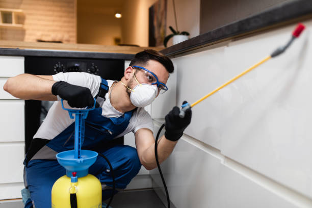 Best Bed Bug Extermination  in Ben Wheeler, TX