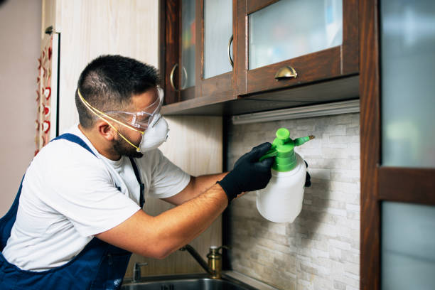 Best Pest Inspection Near Me  in Ben Wheeler, TX