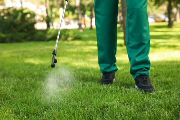 Best Ant Control Services  in Ben Wheeler, TX