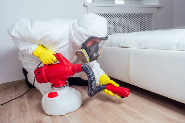 Best Pest Prevention Services  in Ben Wheeler, TX