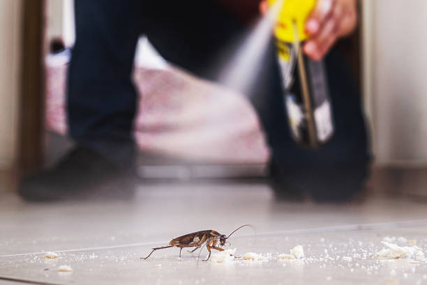 Best Best Pest Control Companies  in Ben Wheeler, TX