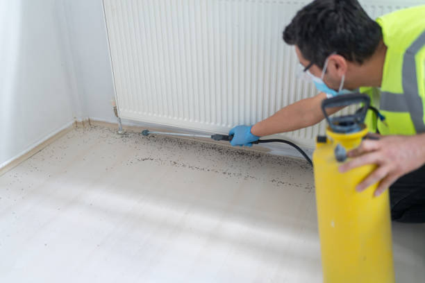 Best Cockroach Control Services  in Ben Wheeler, TX