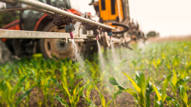Best Commercial Pest Control Services  in Ben Wheeler, TX